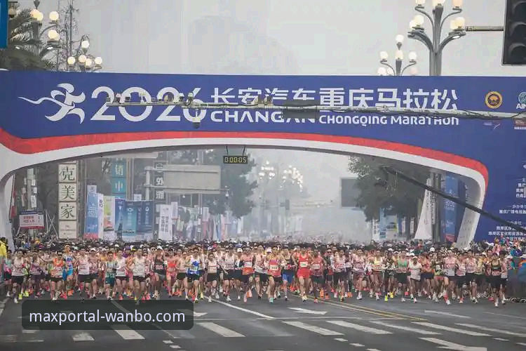 万博体育平台官方入口2026最新版本详解：技术评测与使用指南